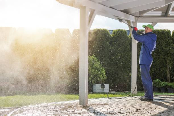Best Spring Cleaning  in Lexington, MO